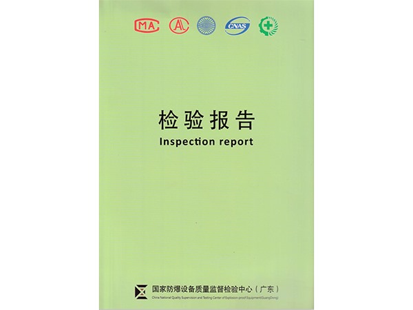 檢測報告